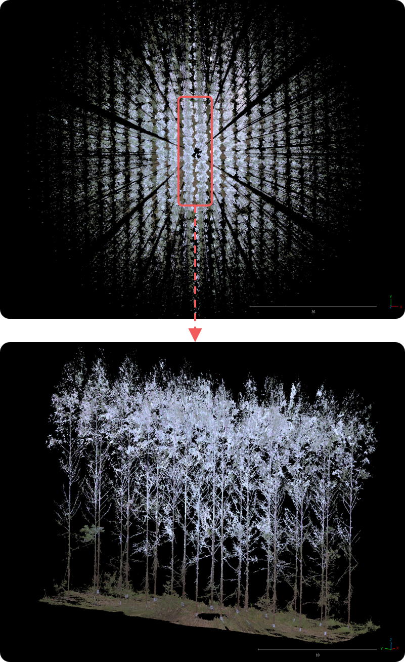 LiDAR point cloud top view
