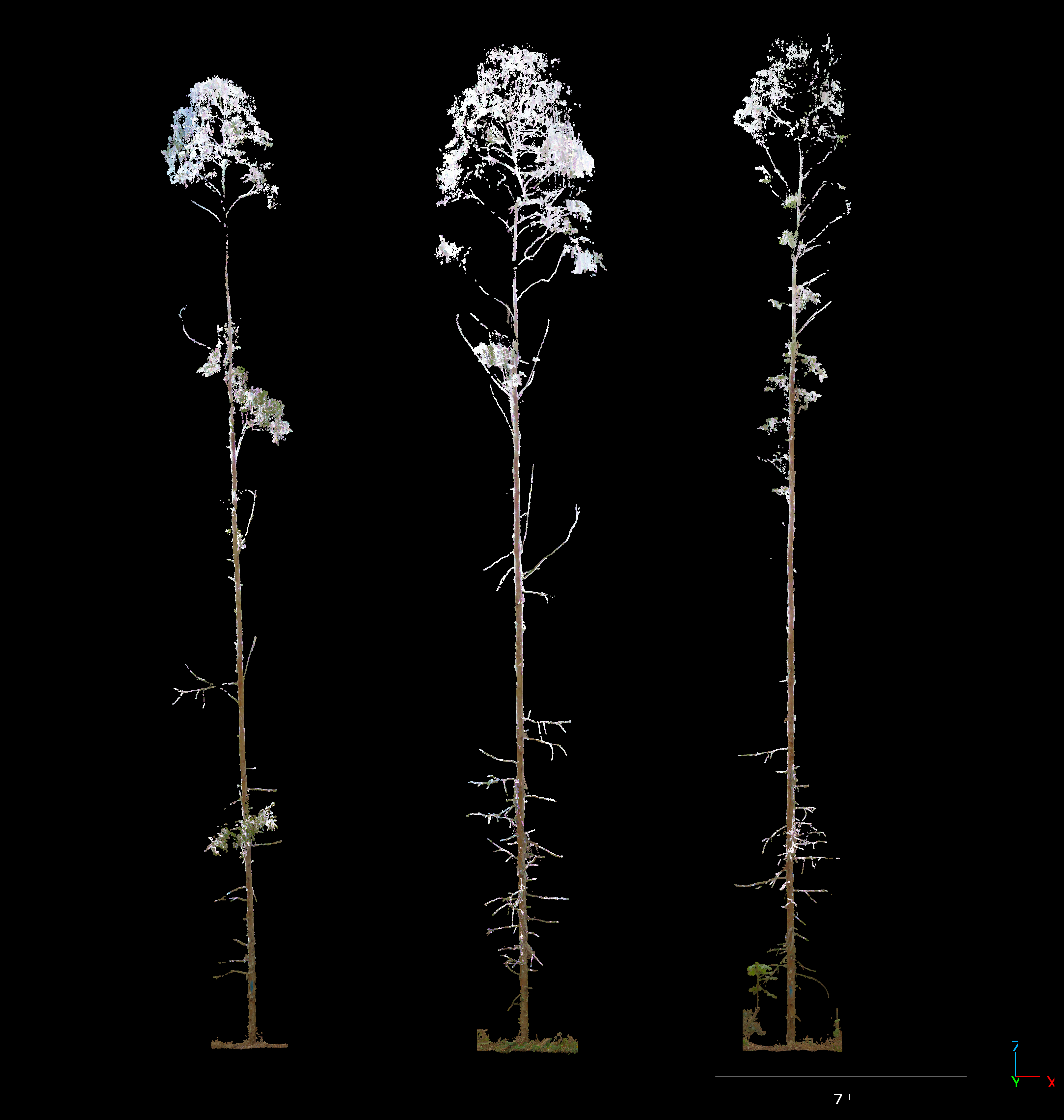 LiDAR point cloud 3D view
